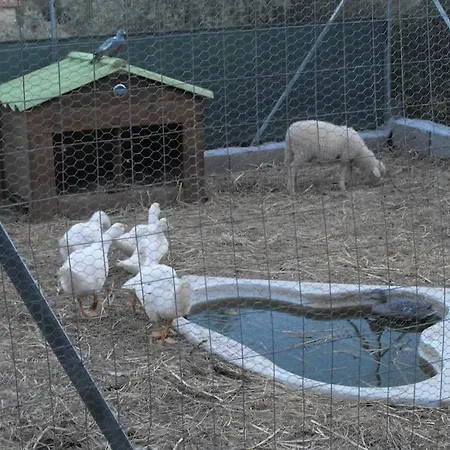Colle Con Piscina Privata