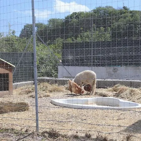Colle Con Piscina Privata *